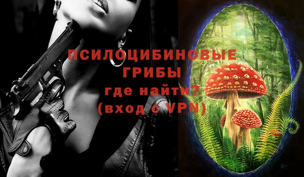 меф Алексин