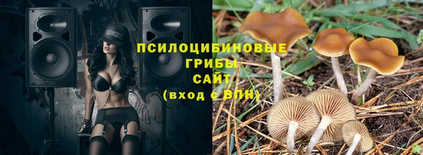 соль ск Арсеньев