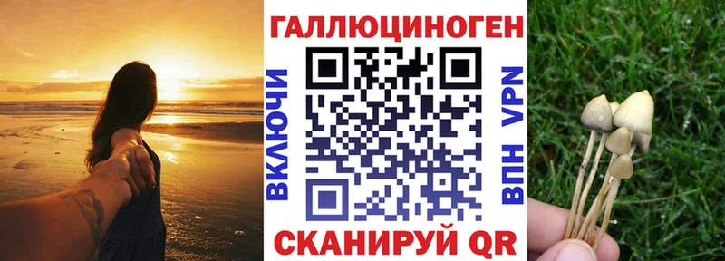 Галлюциногенные грибы прущие грибы  магазин  наркотиков  mega   Спас-Деменск 
